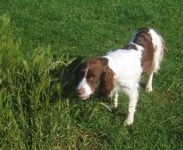 click for a larger view